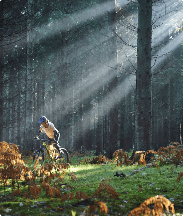 Persoon op een mountainbike in het bos. Dutch Bike Fit