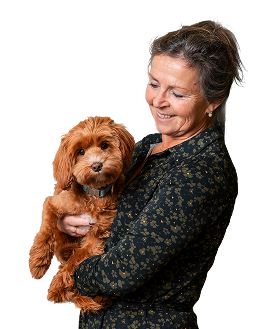 Young-Happy-Teenage-Boy-Pointi-unscreen 1